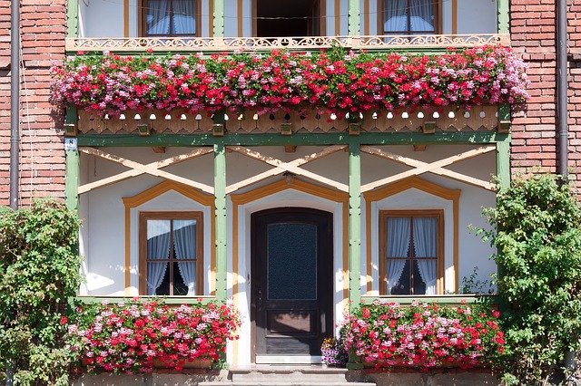 フウロソウ科の植物とは?花・葉の特徴や開花時期・花言葉まで紹介!