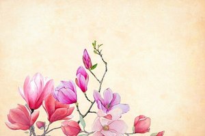 春の花木15選！3～5月に咲く花色や花言葉などの特徴を一挙ご紹介