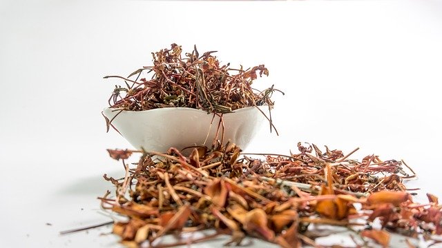 アカネ(茜)とはどんな花か?植物としての特徴や開花時期をご紹介!