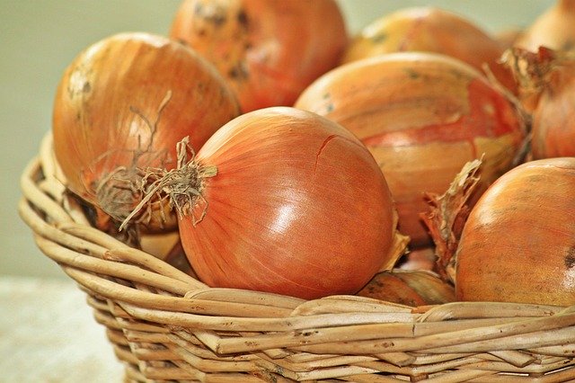 タマネギ栽培における肥料の与え方!追肥の時期や仕方をわかりやすく解説!のイメージ