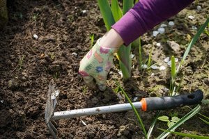 【家庭用】おすすめの除草剤（液剤）5選！効果が早く出る薬剤もある？