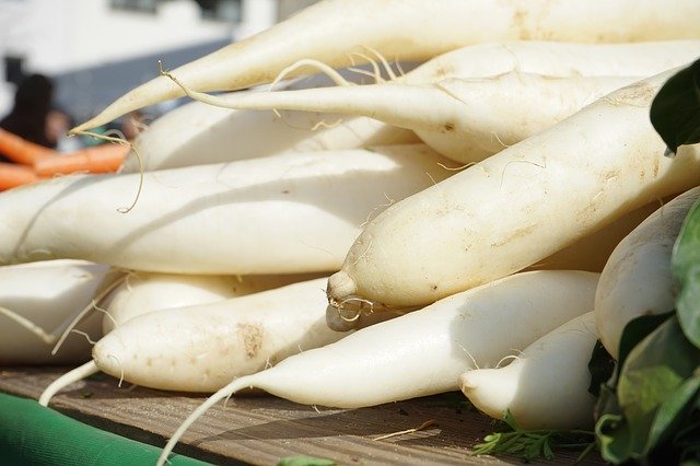 大根を美味しく保存する方法は?長期保存向けのおすすめレシピも紹介!