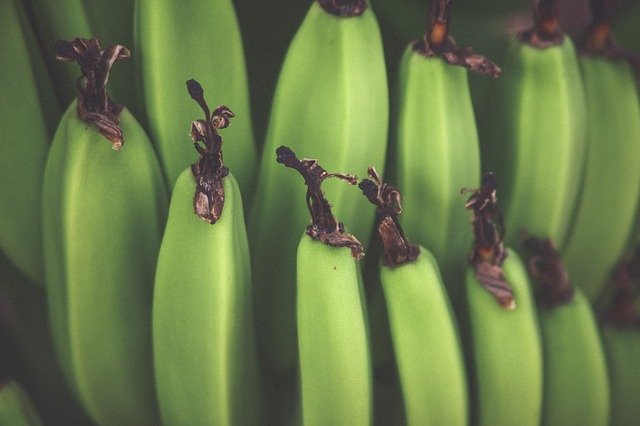 プランテンとは?調理用のバナナ?普通のバナナとの違いや使い方を解説