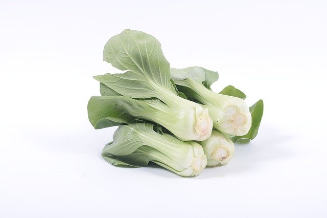 チンゲン菜の育て方マニュアル!種まき・間引きの仕方から収穫方法まで解説