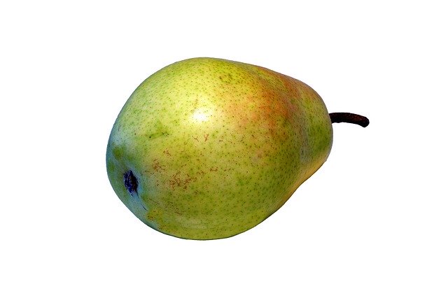 洋梨の育て方!苗木を植えてから収穫までの歳月や管理のコツを解説!