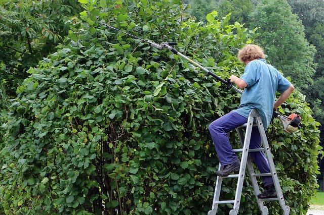 園芸や植木のお手入れにおすすめの刈込鋏8選!使い方や選び方も解説!のイメージ