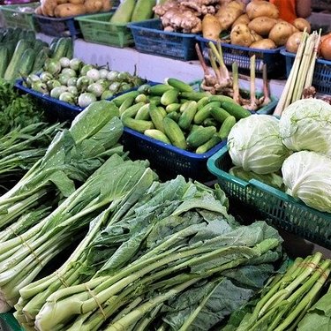 7月に植える・植えられる野菜7選！初夏に植え付けできる野菜は？