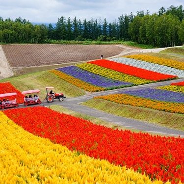 農業用運搬車の人気商品7選！動力・積載量別におすすめをご紹介！