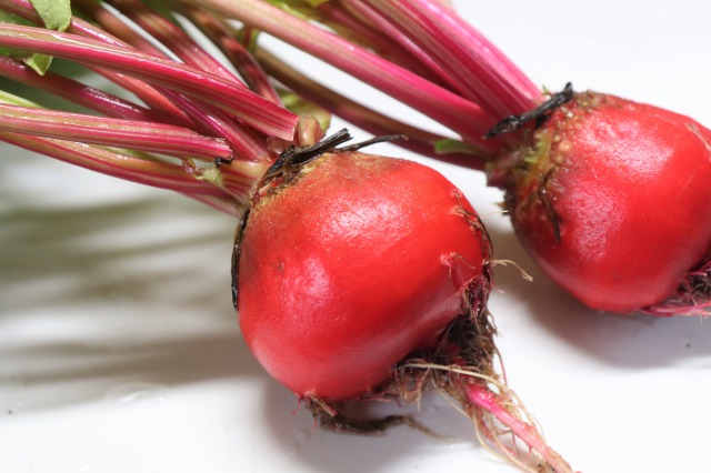 ビーツの育て方&食べ方！栽培して自分で調理するところまでご紹介！のイメージ