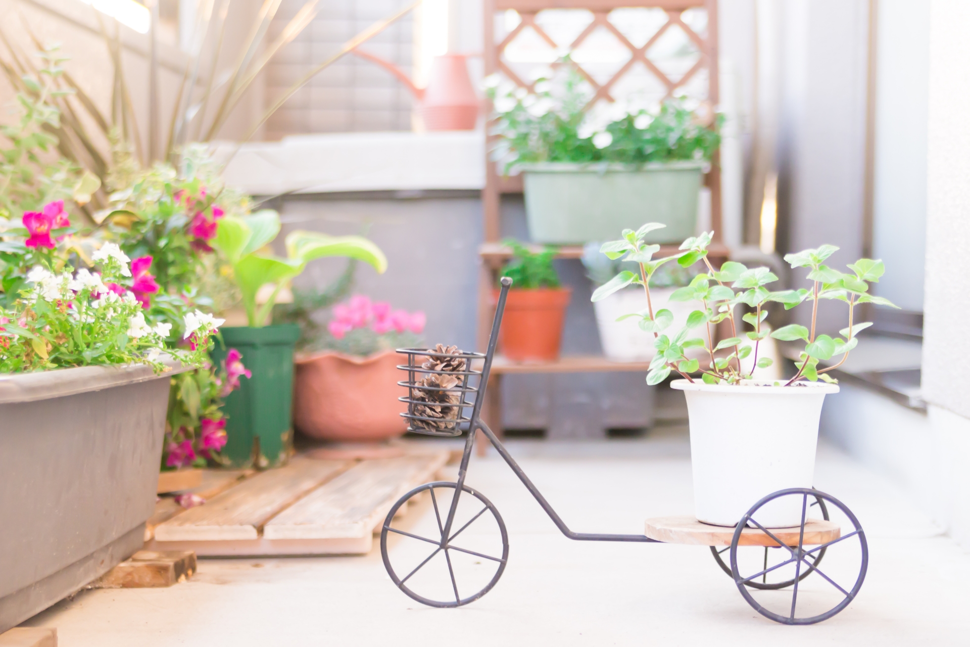 マンション・アパートでもできる!ベランダガーデニング実例6選を紹介!