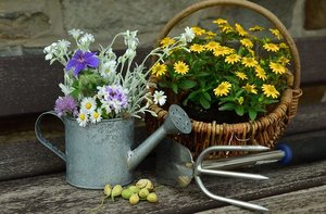 ベランダガーデニングにおすすめの植物13選！おしゃれで人気の植物は？