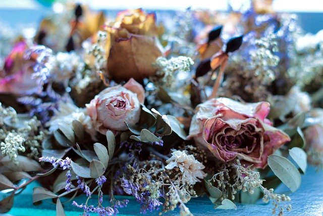 ドライフラワーにできる花7選!乾燥や着色に向いている理由も解説!
