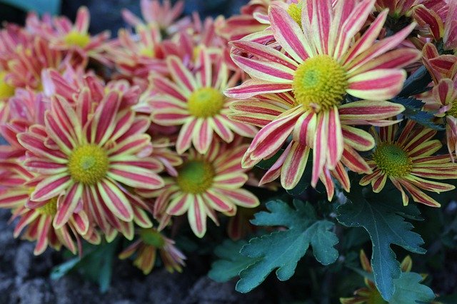 アロマワックスバーの作り方!手作りに必要な材料とカンタン手順を解説!