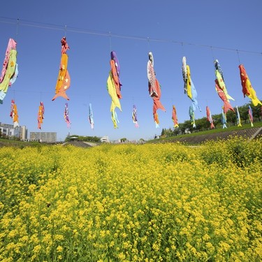 5月が旬の野菜16選！5月が食べ頃の食材と美味しい食べ方をご紹介！