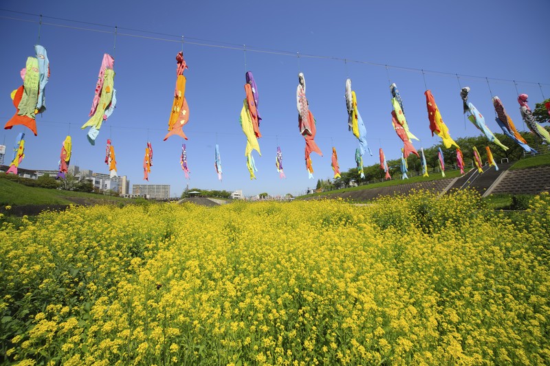 5月が旬の野菜16選!5月が食べ頃の食材と美味しい食べ方をご紹介!