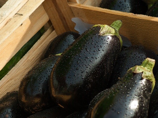 「なすび」とは?茄子(なす)との意味の違いは?呼び方の境目は何県?