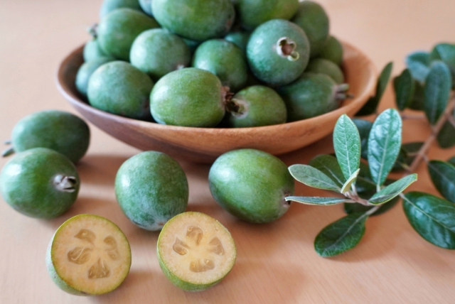 フェイジョアの育て方!剪定時期・方法など鉢植えでの管理のコツを解説!