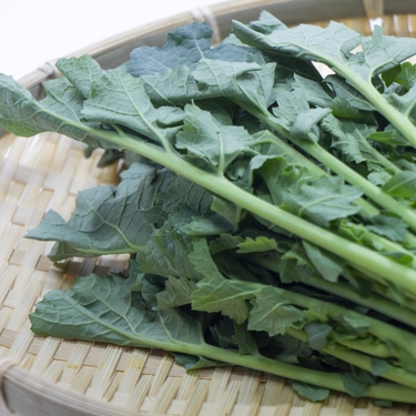 のらぼう菜とは？野菜としての特徴・栄養やおすすめの食べ方をご紹介！