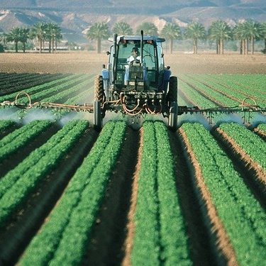 ダコニールの効果・特長と使い方！使用が推奨される野菜や症状も解説！