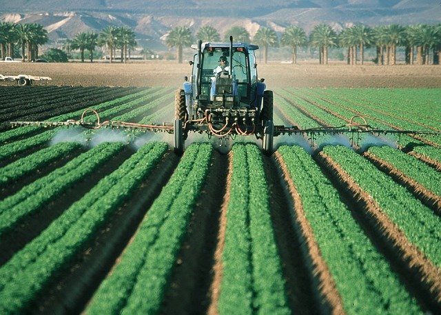 ダコニールの効果・特長と使い方!使用が推奨される野菜や症状も解説!