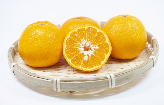ポンカンとは?旬な時期や味など柑橘類としての特徴や食べ方をご紹介!