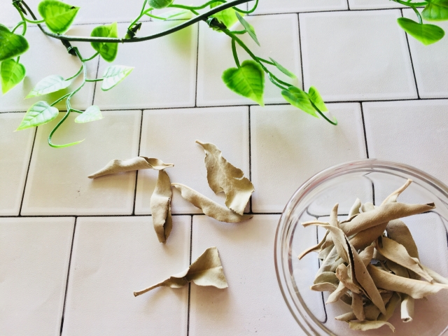 ホワイトセージの利用方法！天然石・部屋の浄化方法や焚き方を紹介！