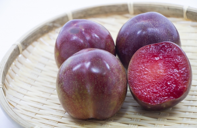 ソルダムとは？すもも品種としての特徴・旬の時期や食べ方をご紹介！