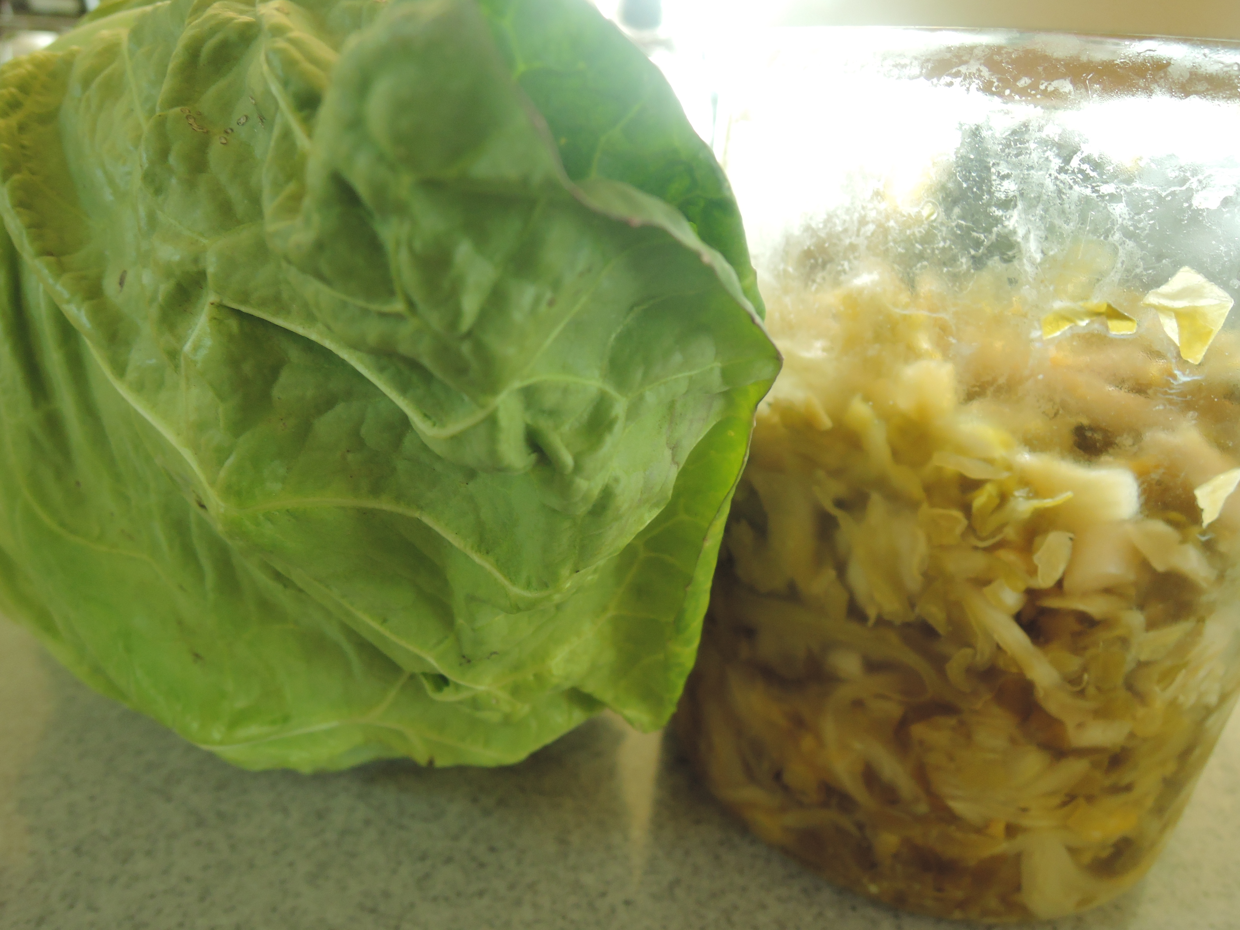 【免疫力アップ】野菜を使った発酵食品のレシピ12選！保存方法も解説！