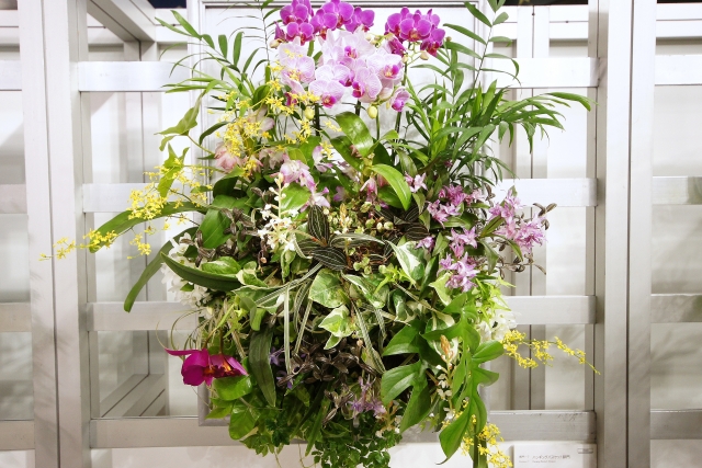 ハンギングバスケットとは?寄せ植えの時期・手順や花の選び方を紹介!のイメージ