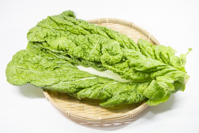 かつお菜とは？美味しく食べる為の下準備や人気の簡単レシピを紹介！