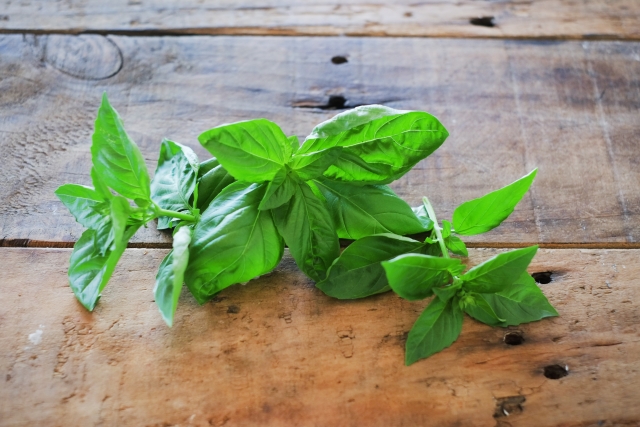 スイートバジルとは?鉢植えでの育て方や人気の簡単レシピを3つ紹介