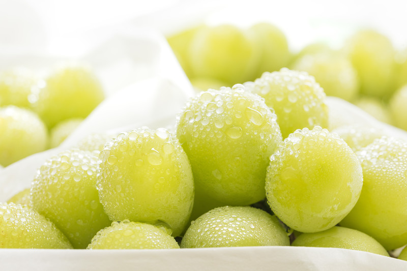 マスカット・オブ・アレキサンドリアとは？ブドウの女王の特徴や食べ方を紹介！