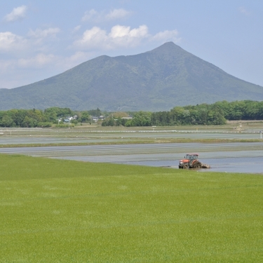 田植え作業のポイントとは？植え方の種類や全国の田植時期について解説！