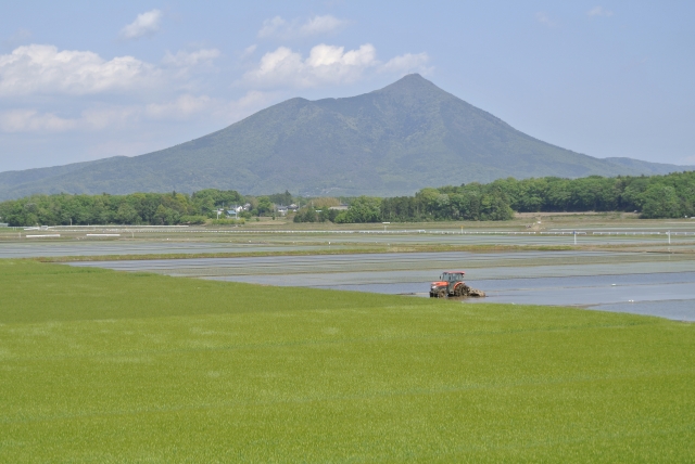 田植え作業のポイントとは?植え方の種類や全国の田植時期について解説!