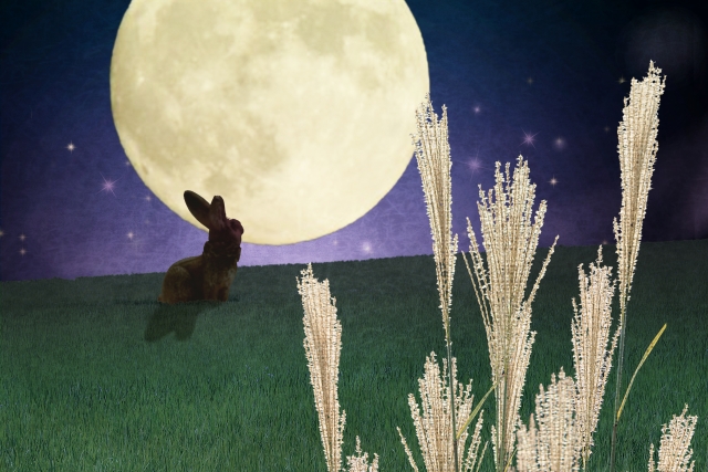 9月の花といえば？9月に咲く・咲いている花12種の特徴や花言葉を紹介！