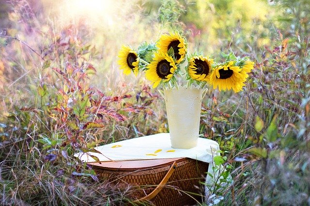 8月8日の誕生花とは?特徴・育て方や誕生石に記念日もご紹介!