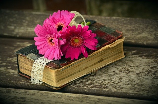 8月19日の誕生花は?色ごとの花言葉や誕生石・記念日もご紹介!