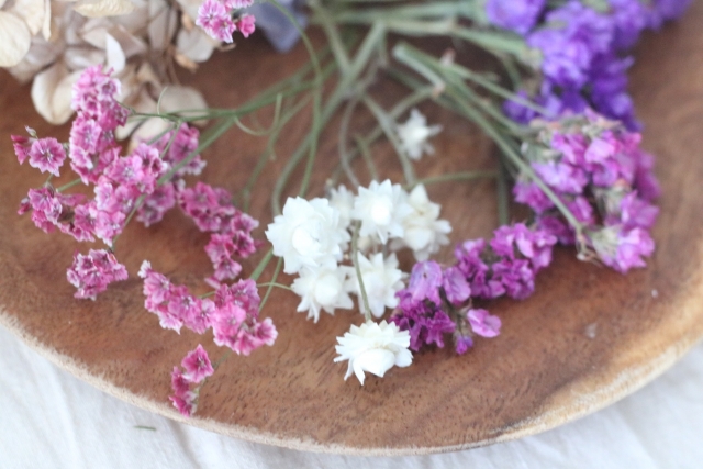 8月26日の誕生花とは？特徴・育て方や誕生石に記念日もご紹介！