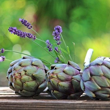 珍しい野菜10選！変な見た目や不思議な味の野菜の特徴や食べ方を紹介！