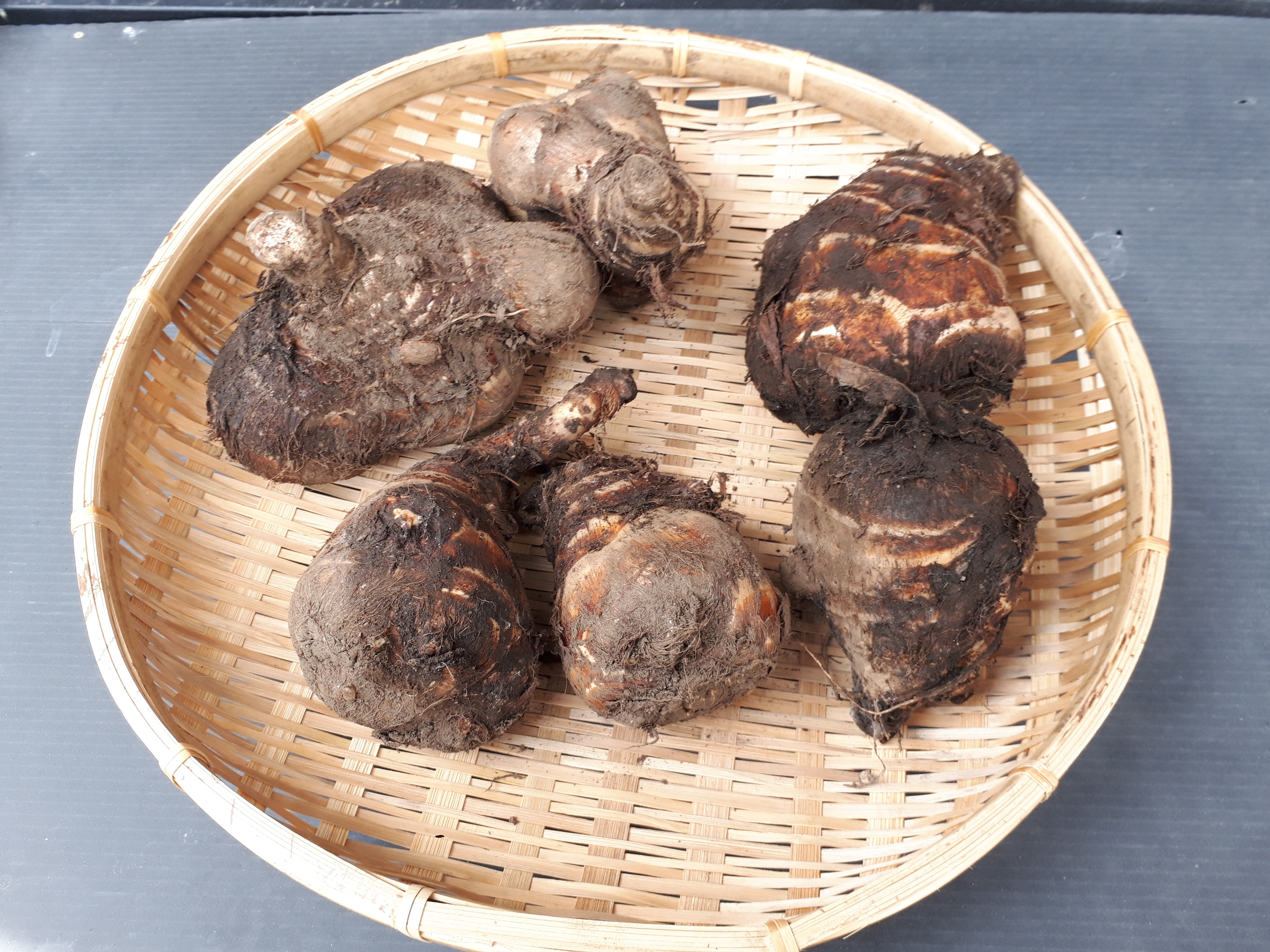 やつがしら(八頭)とは?普通の里芋との違いやおすすめの食べ方を紹介