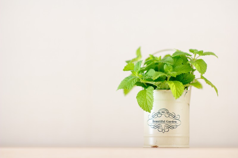 鉢底ネットとは?ネットを敷くメリット・役割を解説!鉢底石との違いは?