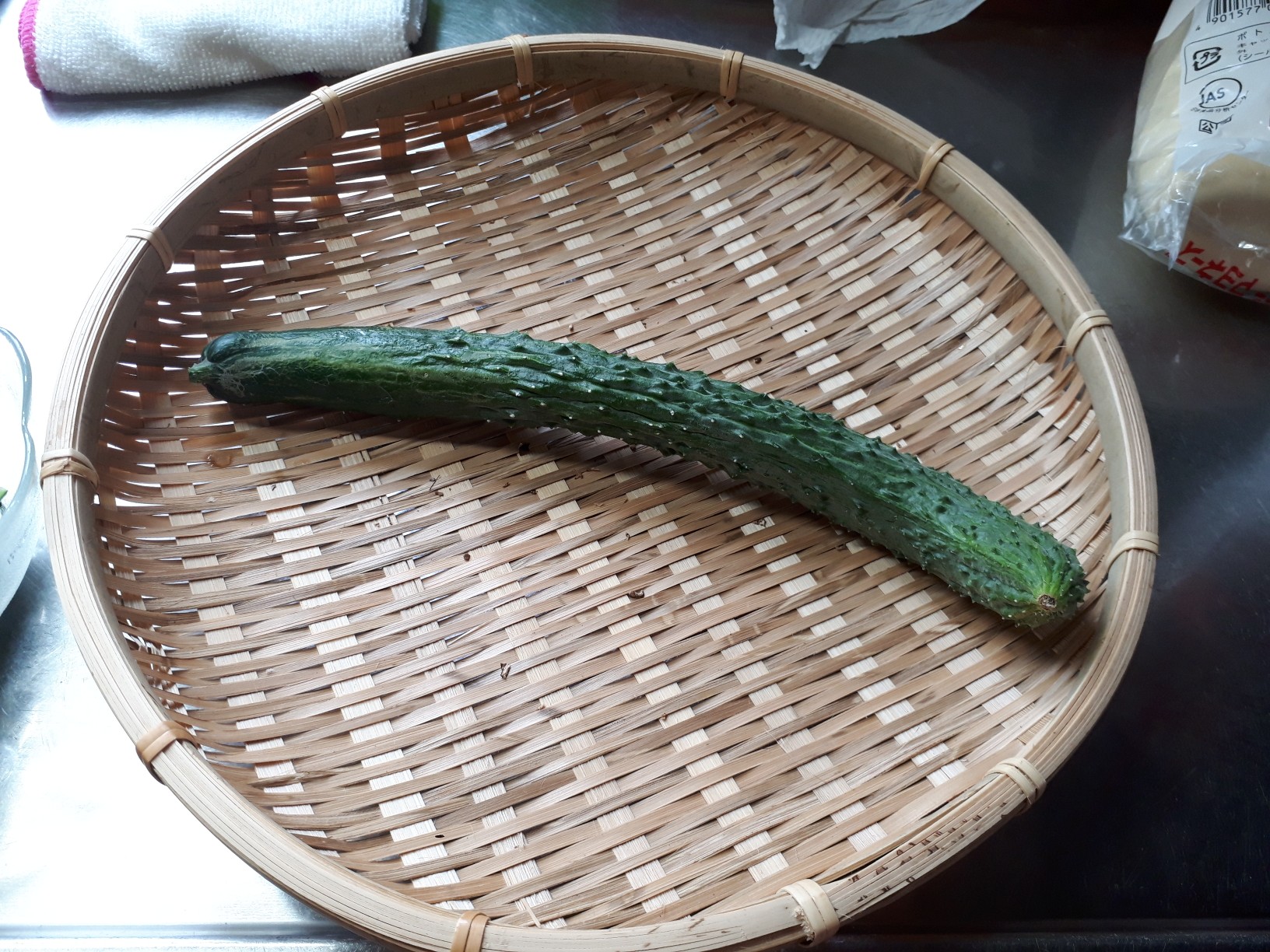 神田四葉胡瓜とは？上手な栽培・管理方法やおすすめの食べ方を紹介！