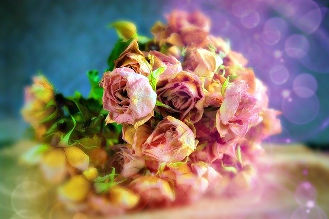 ハーバリウムにおすすめの花材10選!材料として使うべき理由と手順を解説!