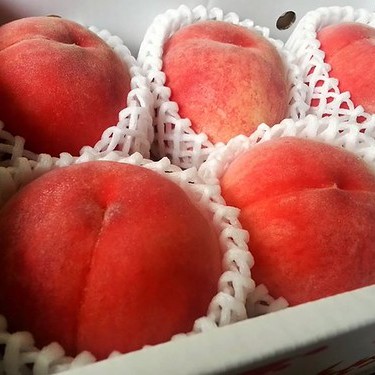 福島の桃といえば？おすすめの時期・季節や人気の品種9種類をご紹介！