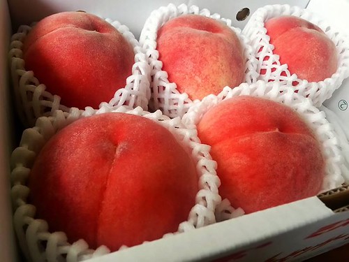 福島の桃といえば？おすすめの時期・季節や人気の品種9種類をご紹介！