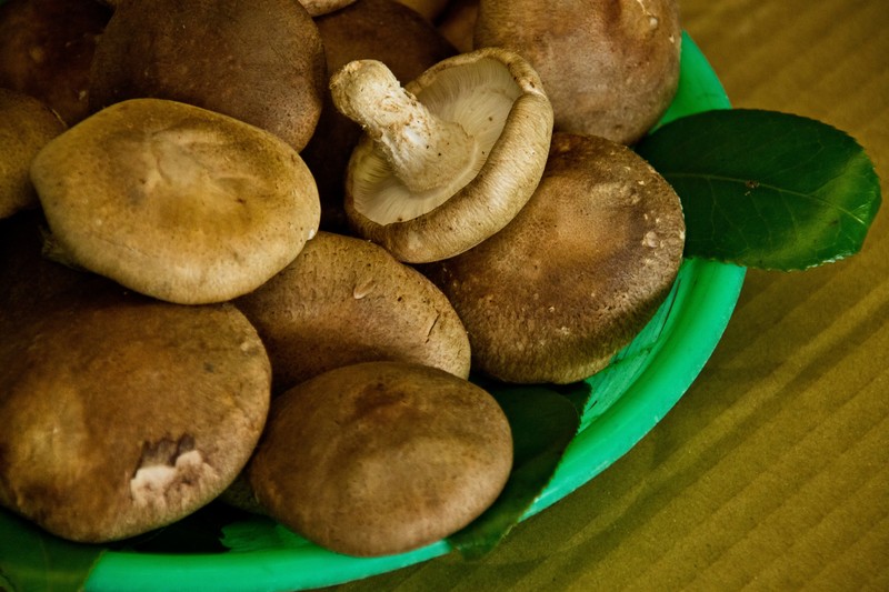 しいたけの味噌汁と相性のいい具材は？干し椎茸の戻し方やレシピを紹介のイメージ