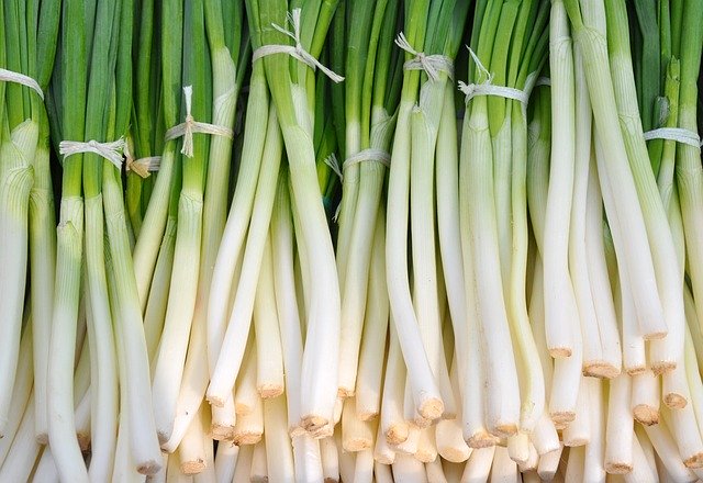ネギが苦手でも食べれちゃう!豚肉&長ネギのおすすめレシピ10選!のイメージ