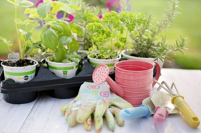 バーミキュライトとは?用土としての特徴・性質や効果的な使い方を解説!のイメージ