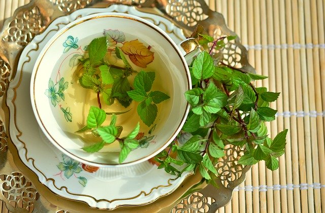 初心者におすすめのハーブ5選!家庭菜園で育てやすい理由と育て方を紹介!