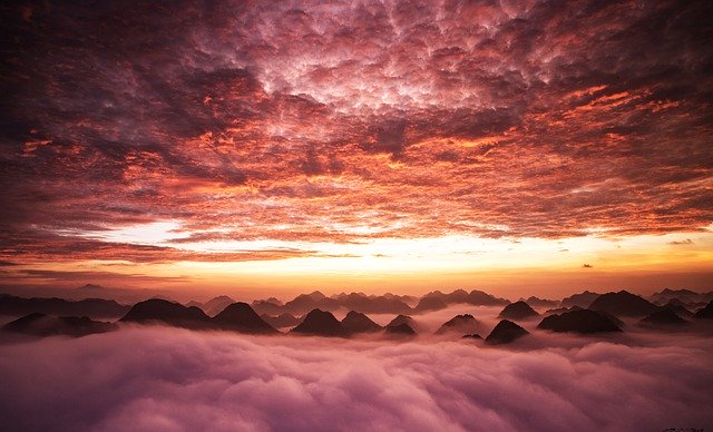 魔除けで運気UP!風水におすすめの植物11選!特徴や花言葉も紹介!